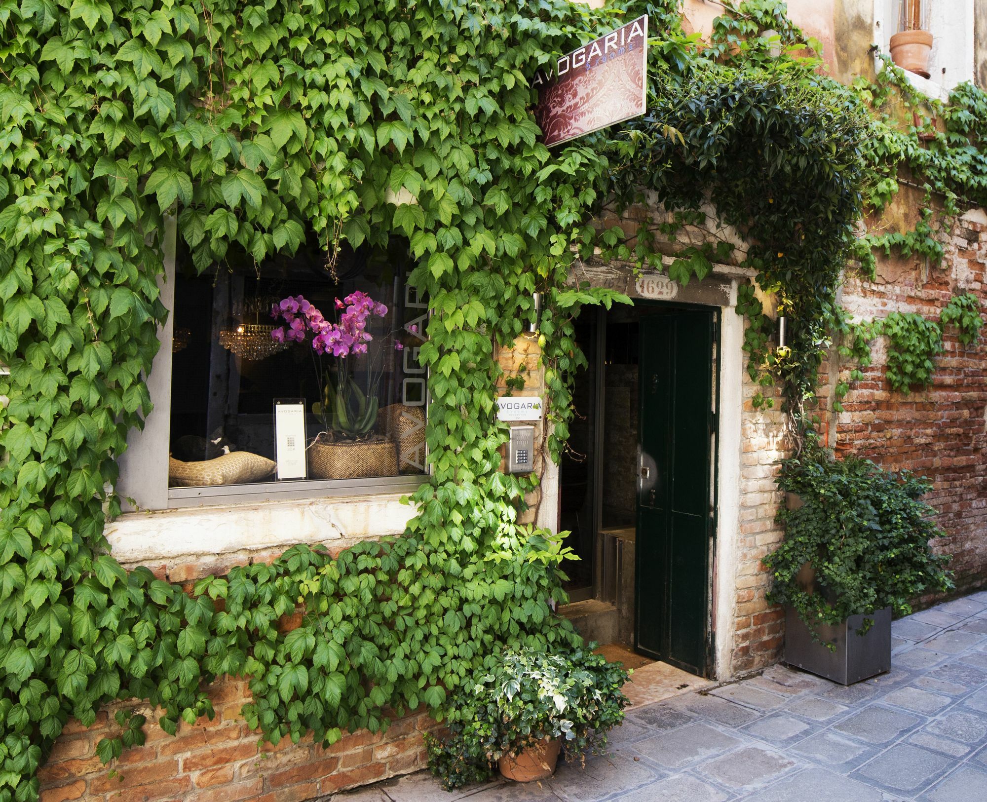 Avogaria 5 Rooms Venecia Exterior foto